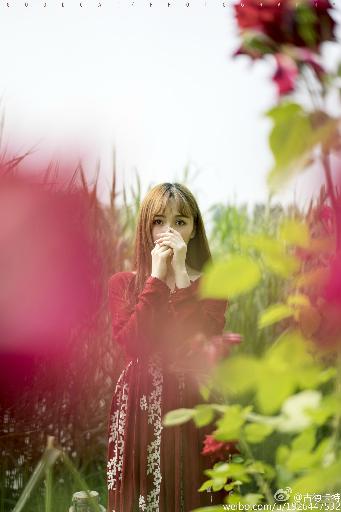 嫂子的职业在线观看